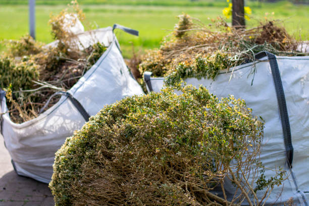Trusted Weweantic, MA Junk Removal Services Experts